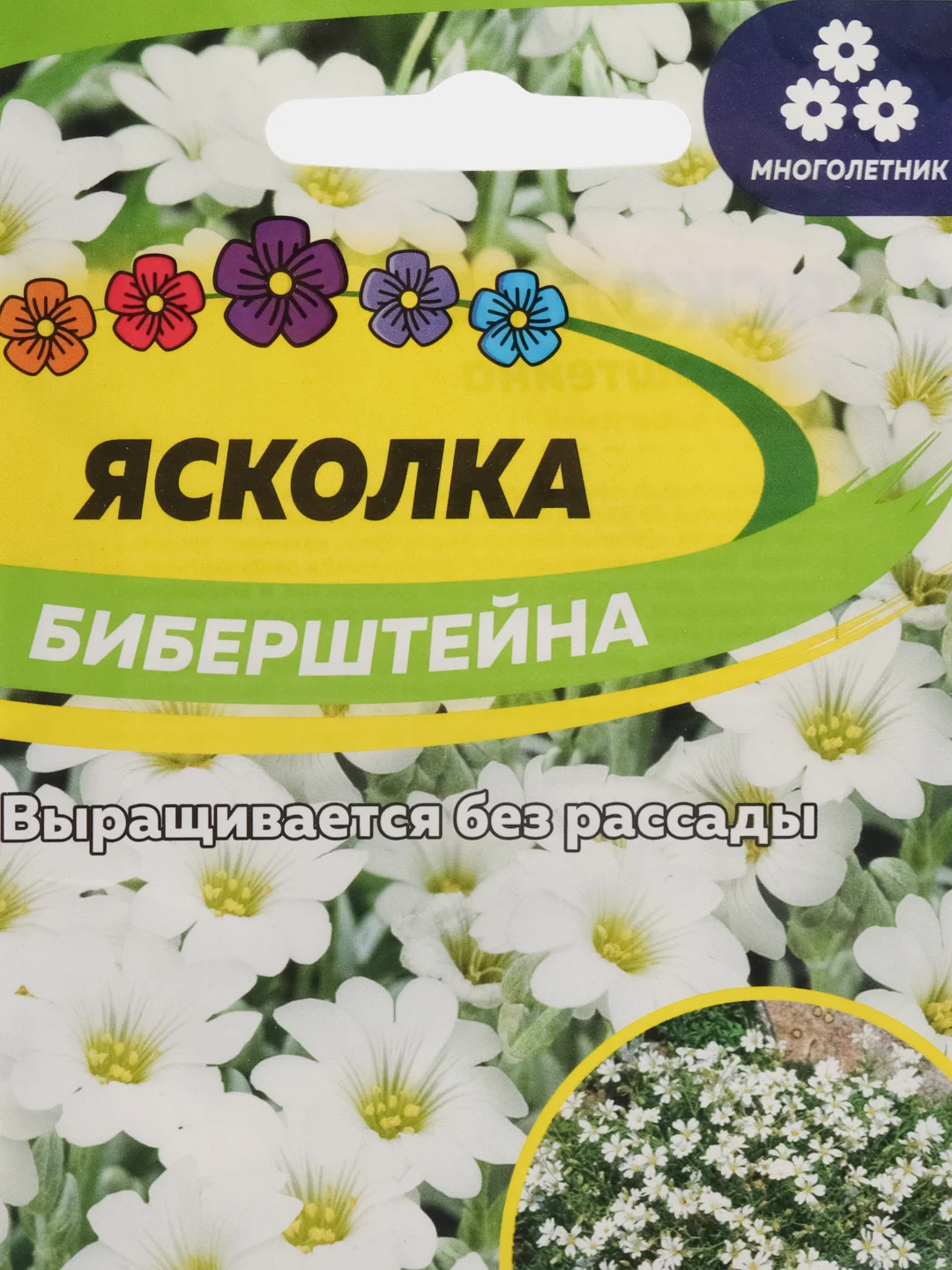 Ясколка Биберштейна, семена, цветы