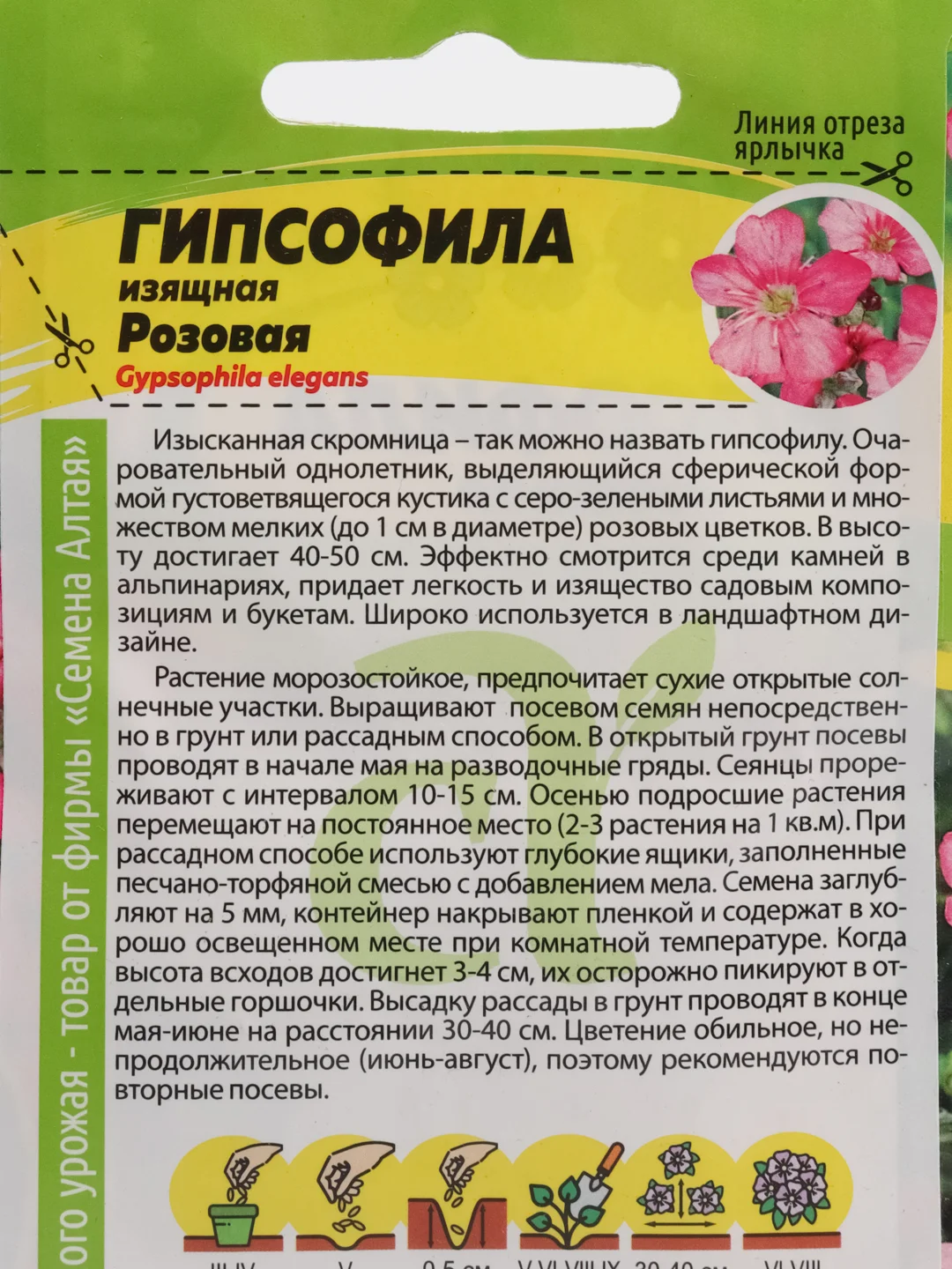 Гипсофила Изящная Розовая, семена, цветы