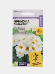 Примула Аккорд Вайт, семена, цветы