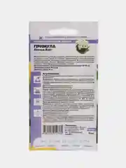 Примула Аккорд Вайт, семена, цветы