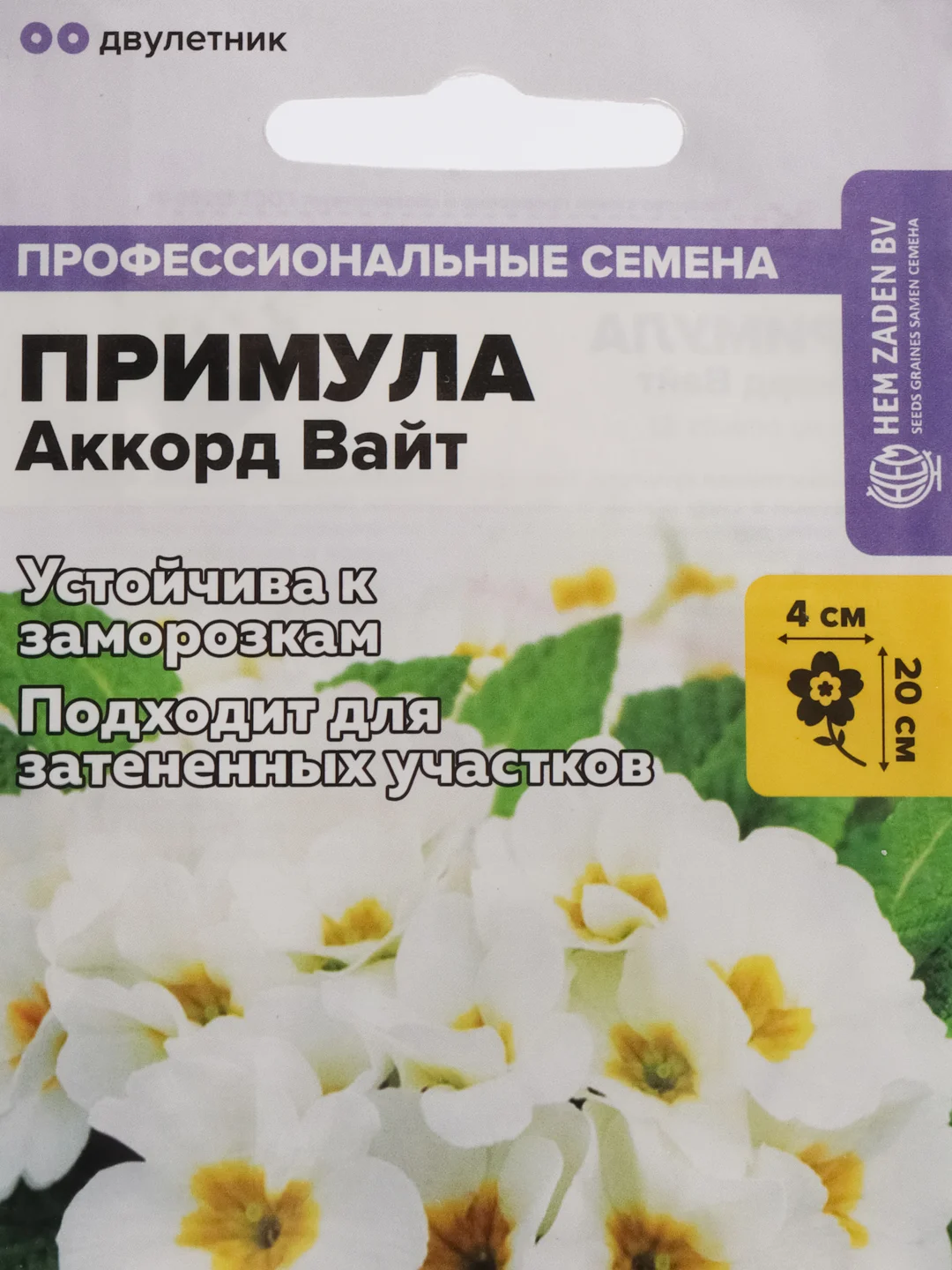 Примула Аккорд Вайт, семена, цветы