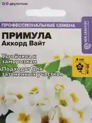 Примула Аккорд Вайт, семена, цветы