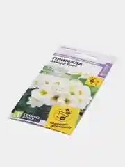 Примула Аккорд Вайт, семена, цветы