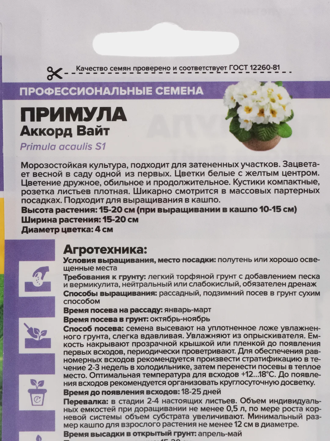 Примула Аккорд Вайт, семена, цветы