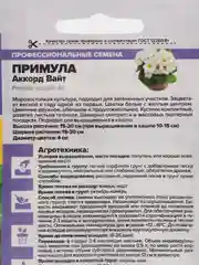 Примула Аккорд Вайт, семена, цветы