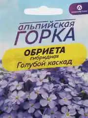 Обриета Голубой каскад, семена, цветы