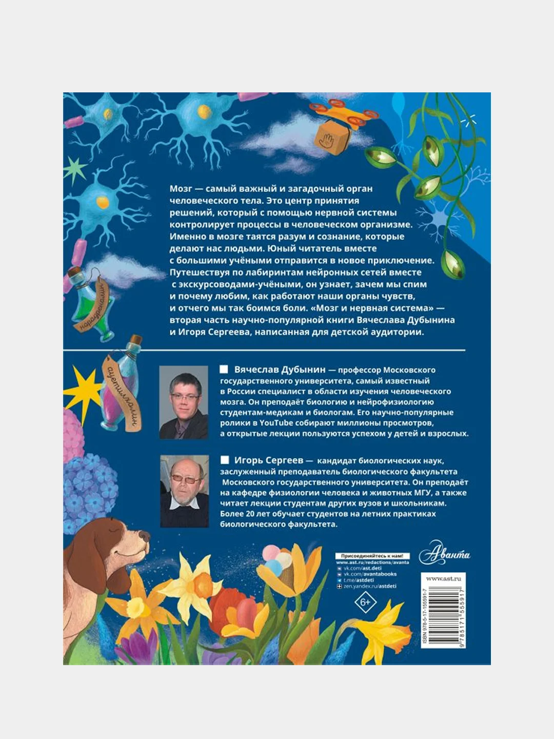 Мозг и нервная система