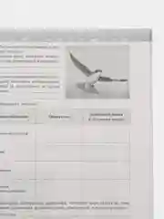 Рабочая тетрадь "Биология", В.В. Пасечник, 7 класс
