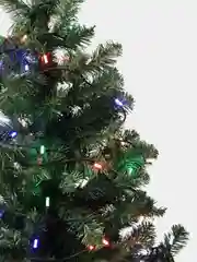 Светодиодная новогодняя LED гирлянда, 4 цвета