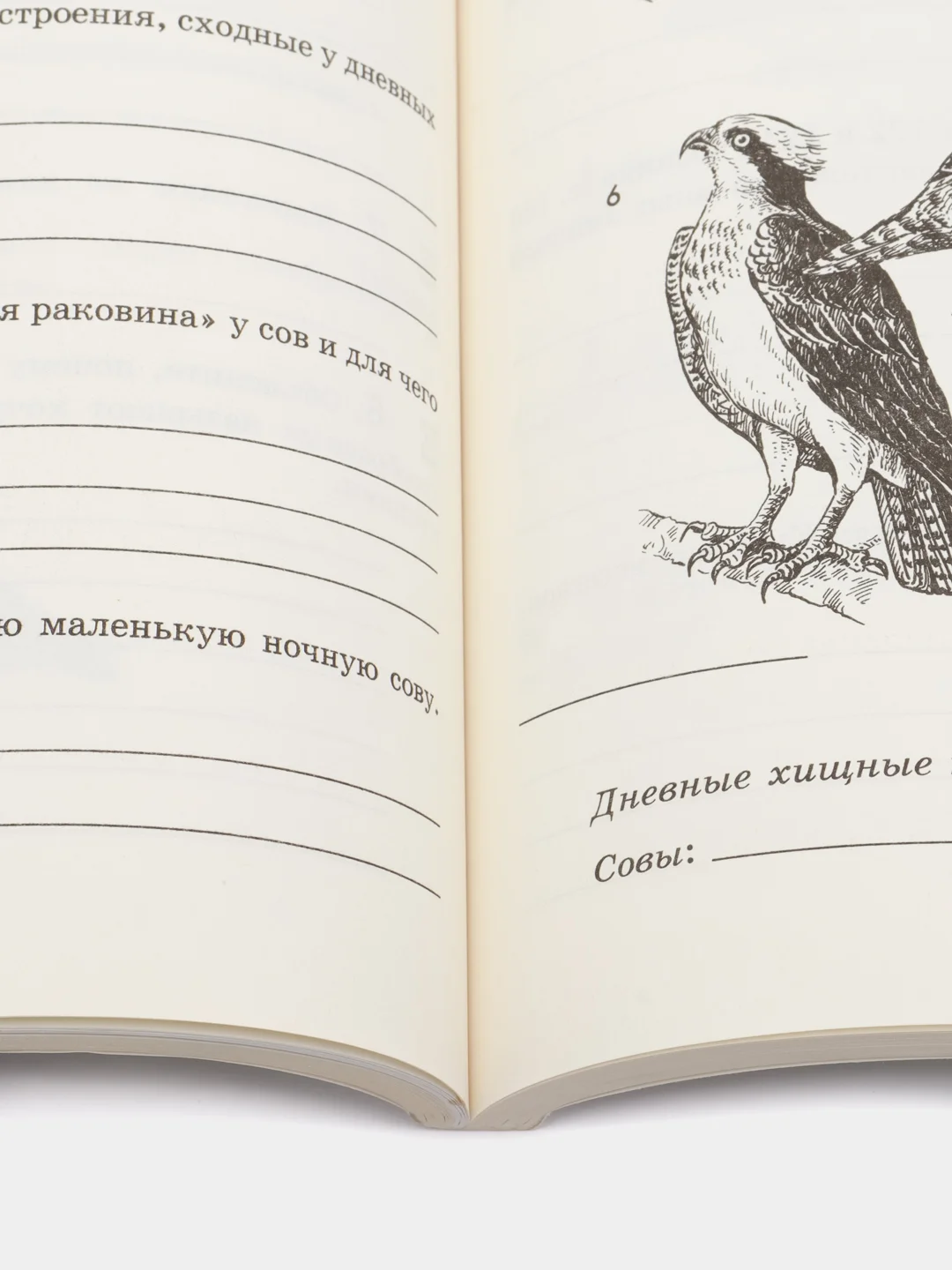Биология рабочая тетрадь, 7 класс, В. В. Латюшин