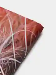 Пастельно-коралловый штора-занавес для ванной комнаты, 3D, с кольцами, 180 х 180 см