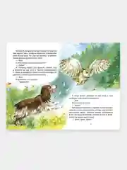 Книга для детей Внеклассное чтение М. Пришвин "Рассказы о животных" 96 стр. Проф-Пресс