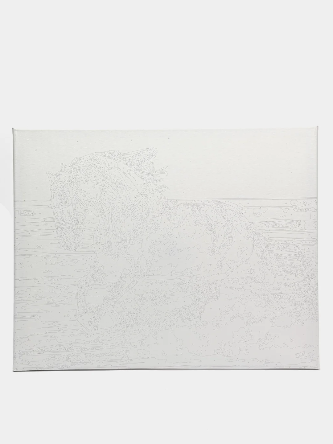 Картина для раскрашивания по номерам "Лошадь", 40 x 50 см
