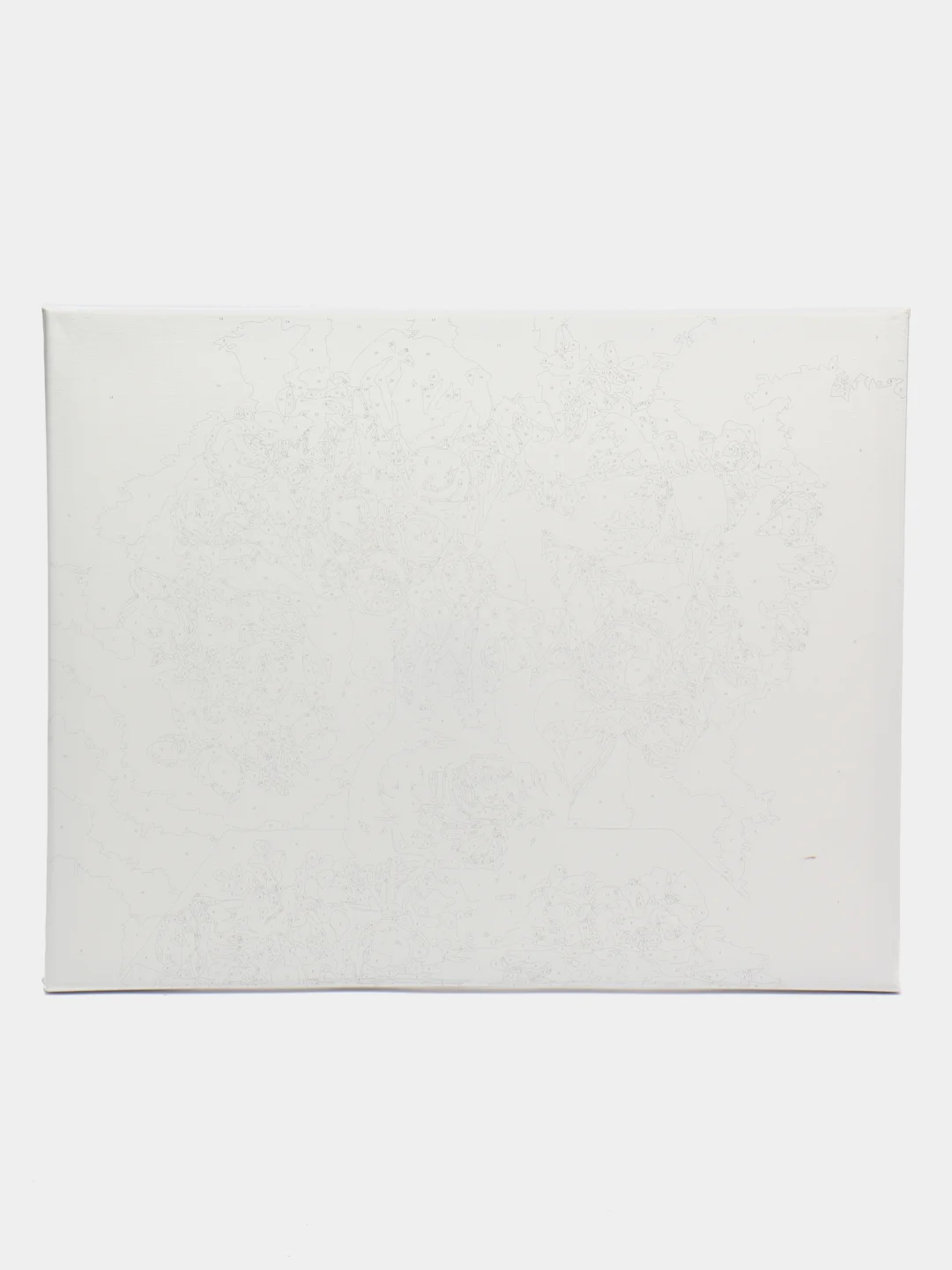 Картина по номерам "Строгий букет", для раскрашивания, 40 x 50 см