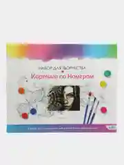 Картина по номерам "Девушка-загадка", для раскрашивания, 40 x 50 см