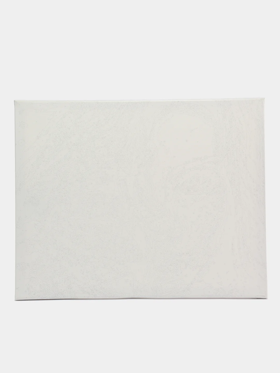 Картина по номерам "Девушка-загадка", для раскрашивания, 40 x 50 см