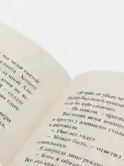 Штурм и буря, Бардуго Ли