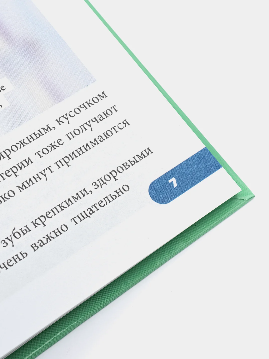Энциклопедия "100 вопросов и ответов. Живая природа"
