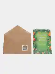Зеленый письмо от Деда Мороза