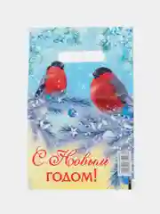 Пакет новогодний с вырубной ручкой, 20 х 30 см