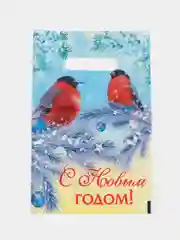 Пакет новогодний с вырубной ручкой, 20 х 30 см