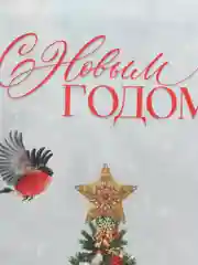 Пакет под бутылку, новогодний. 13х36х10 см