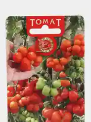 Томат "Чесночный", семена