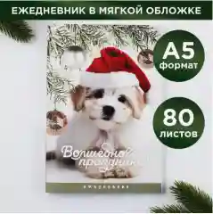 Зеленый ежедневник в тонкой обложке, блокнот, А5, 80 листов, набор из 2 штук