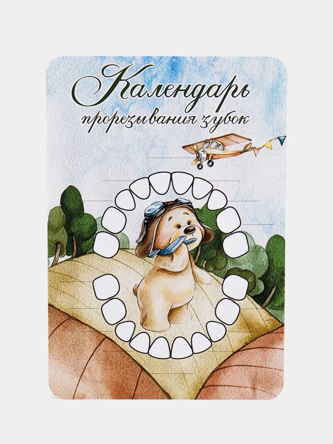 Зеленый календарь прорезывания зубов