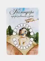 Зеленый календарь прорезывания зубов