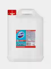 Средство дезинфицирующее универсальное Domestos professional "Свежесть атлантики", 5 л