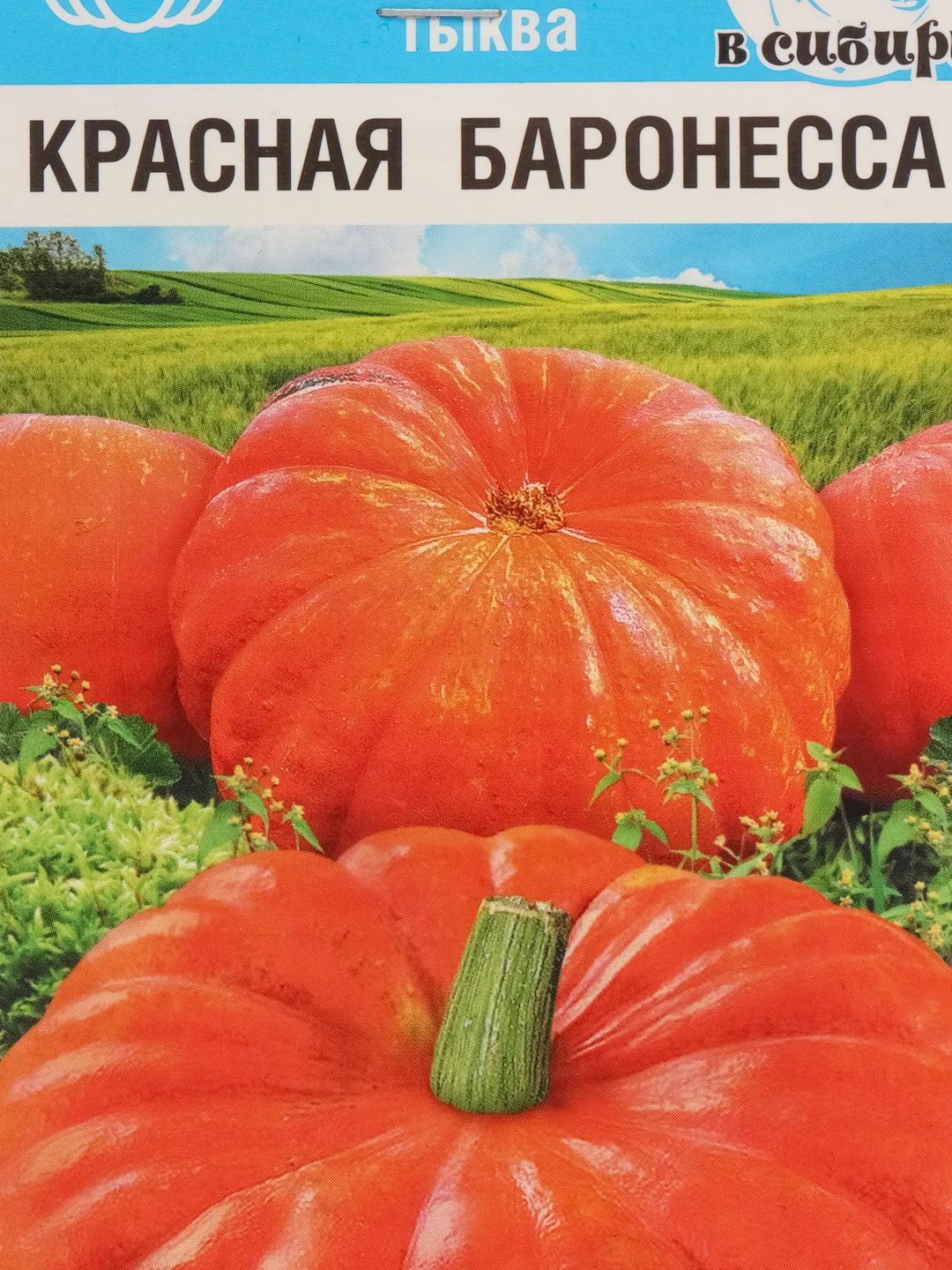 Тыква Красная баронесса, семена