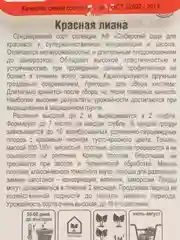 Томат Красная лиана (семена)