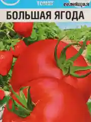 Томат Большая ягода, семена