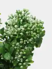 Желтый букет искусственной зелени