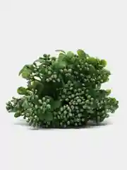 Желтый букет искусственной зелени
