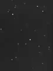 Тёмно-зелёный упаковочная бумага тишью, 51 х 66 см, "Конфетти", 10 листов
