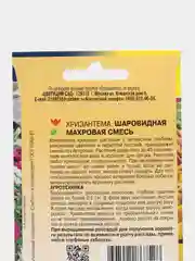 Хризантема Шаровидная Махровая (семена,цветы)