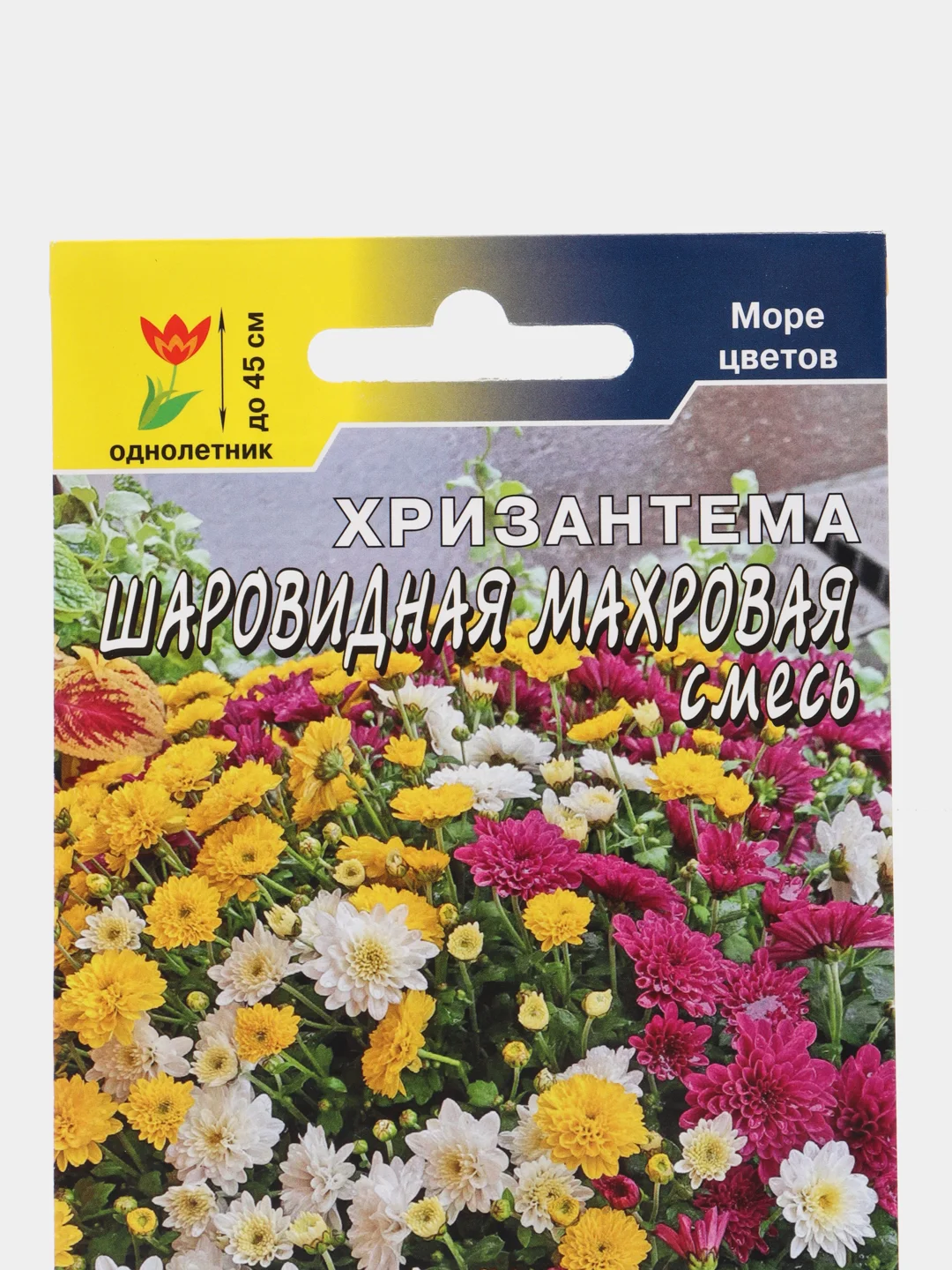 Хризантема Шаровидная Махровая (семена,цветы)