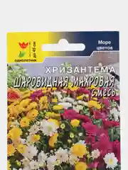 Хризантема Шаровидная Махровая (семена,цветы)