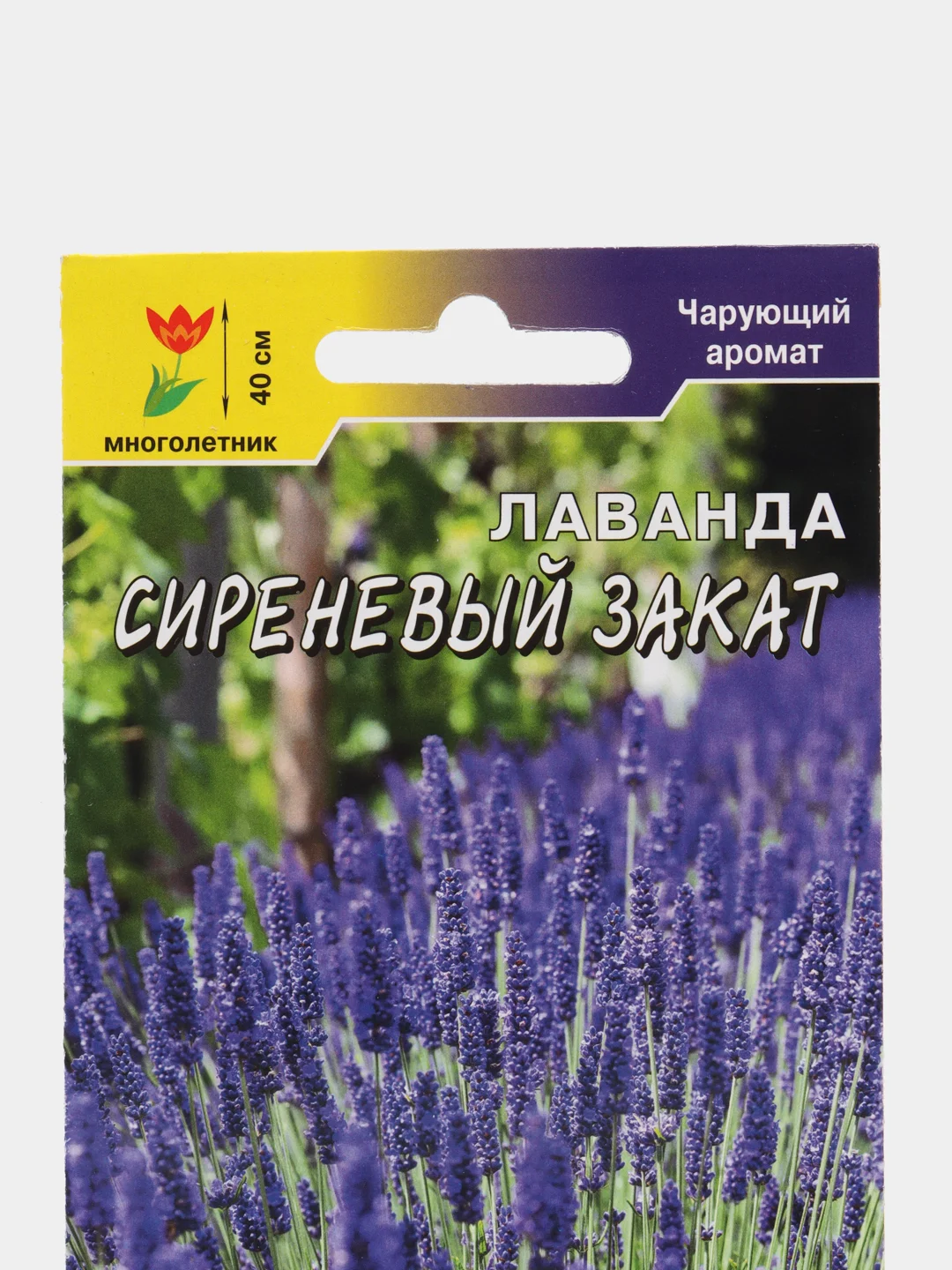 Лаванда "Сиреневый закат", семена, цветы