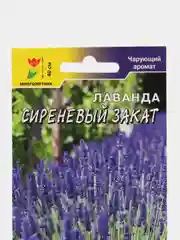 Лаванда "Сиреневый закат", семена, цветы
