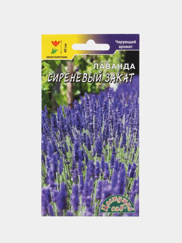 Лаванда "Сиреневый закат", семена, цветы