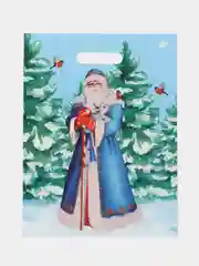 Лазурный пакет новогодний, 30 х 40 см, комплект 5 штук, 10 штук