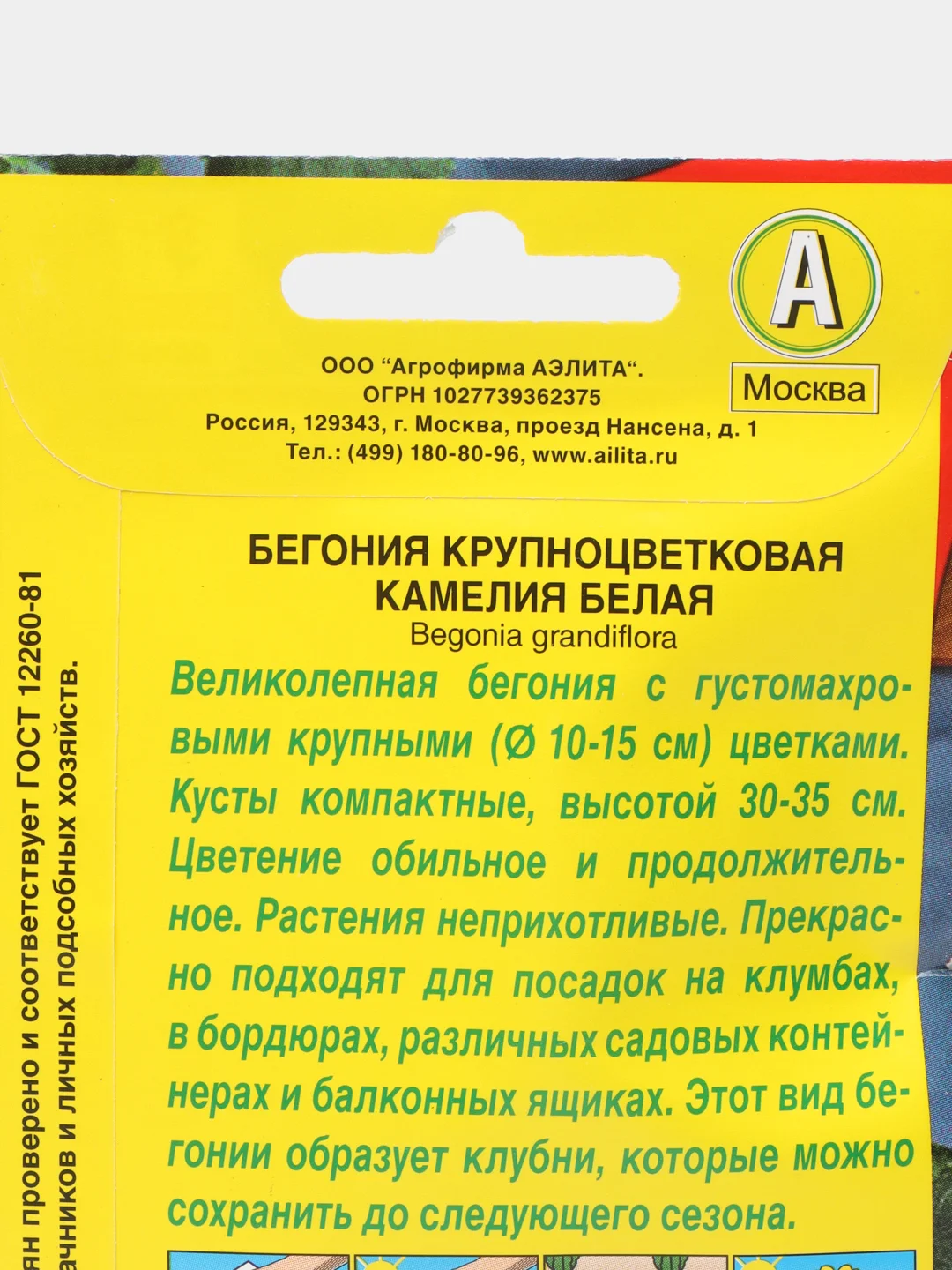Бегония крупноцветковая Камелия белая, драже в пробирке, семена
