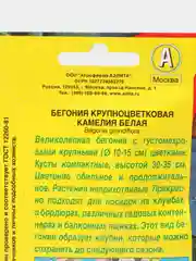 Бегония крупноцветковая Камелия белая, драже в пробирке, семена
