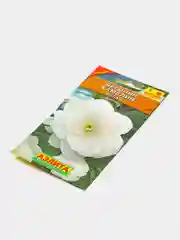 Бегония крупноцветковая Камелия белая, драже в пробирке, семена