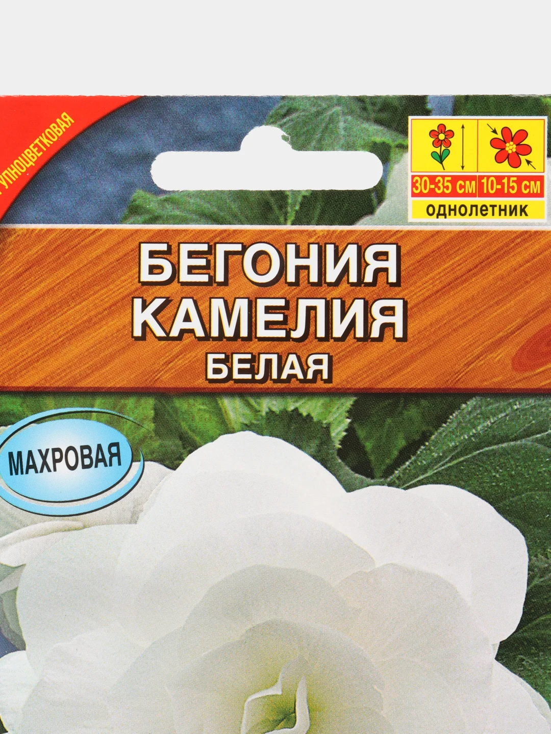 Бегония крупноцветковая Камелия белая, драже в пробирке, семена