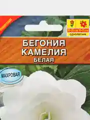 Бегония крупноцветковая Камелия белая, драже в пробирке, семена