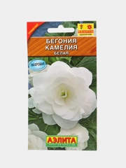 Бегония крупноцветковая Камелия белая, драже в пробирке, семена